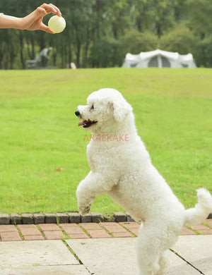 Dog toy ball, elastic, bite resistant, grinding teeth, dog training ball, night light floating rubber interactive