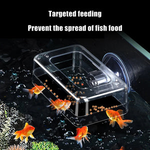 〔W〕Fish Tank Feeding Ring Transparent Acrylic Rectangle Round Shape Aquarium Suspensible Feeder For Tank Floating Food Dispenser