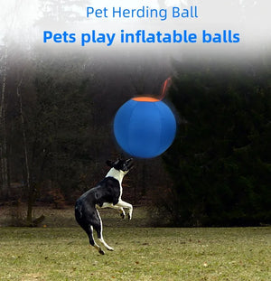 Dog Play Inflatable Big Ball Large Dog Playing Throw Interactive Training Ball Relieve Boredom Grab Fun Pet Dogs Toys Supplies