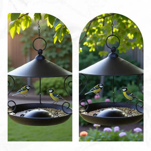 Iron Bird Feeder Windproof Rainproof Bird Food Dispenser Hanging Multi-purpose Bird Feeding Tray Hummingbird