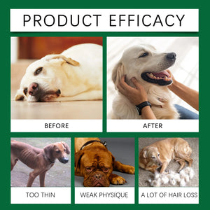 60ml Immune-Boosting Multivitamin Supplement for Dogs, Gentle Formula to Relieve Skin Discomfort, Daily Nutrition Supplement