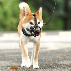 Basket Dog  Adjustable Breathable for Small Medium Large Dogs Stop Biting Barking Chewing Pet Dogs Supplies