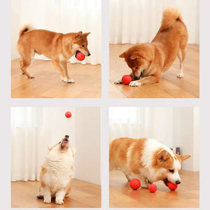 Durable Bouncy Dog Toy for Pets Chew Proof Rubber Ball S to L Size Training Interactive Chew Resistant Molar Ball