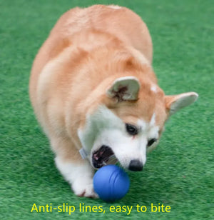 Bouncy Rubber Ball for Pet Dog, Solid Ball, Resistance to Chew Toys, Outdoor Throwing for Dogs