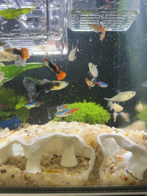 Fish tank underground cave, used for fish shelter hiding house, aquarium landscaping, 3D printing aquarium decoration