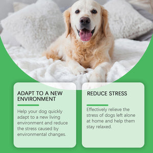 Dog Emotion Diffuser Set for Anxiety Relief Home Environment Stress Care Kit to Effectively Reduce Dogs' Pressure