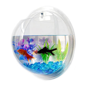 Wall Hanging Fish  Acrylic Fish Bowl Hanging Decorative Container Wall Hanging Fish