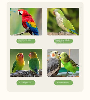 Hot Selling Indoor Stylish Breathable Removable Bird Cage Breeding Durable Wooden Bird House Suitable For All Kinds Of Birds