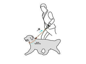 DogtractionropePropeintegratedprofessionaldogtrainingrope generalpurposeforexplosionprooftrainingof small and medium-sized dogs