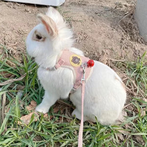Cartoon Print Cat Rabbit Harness and Leash Set Bunny Rabbits Pet Accessories Bunnies Vest Clothes lapin accessoires pour animaux