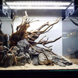 Natural Wooden Fish Tank Decorations Plant Stem Tree Trunk Driftwood Tree Aquarium Fish Landscaping Tree Decoration Ornaments ﻿