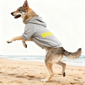 Pet Hoodie for Medium To Large Dogs | Classic Black with Yellow SECURITY Print, Fleece-Lined for Warmth and Breathability