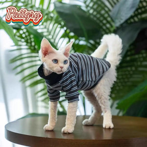 Cat high-neck T-shirt clothes, handsome and fashionable Devon cat hairless cat is the first choice, summer pet clothes, anti-she