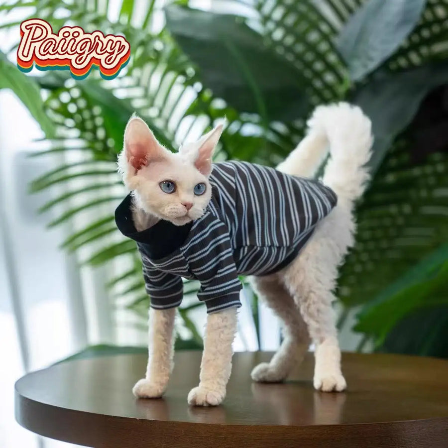Cat high-neck T-shirt clothes, handsome and fashionable Devon cat hairless cat is the first choice, summer pet clothes, anti-she