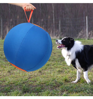 Dog Play Inflatable Big Ball Large Dog Playing Throw Interactive Training Ball Relieve Boredom Grab Fun Pet Dogs Toys Supplies