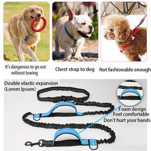 Hands Free Dog  Leash for Pet Walking Running Retractable Elastic Belt Dog Traction Rope for Running Walking Pet Products