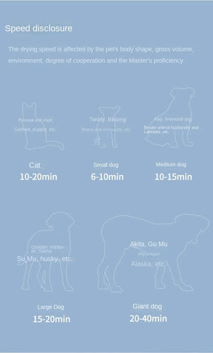 Professional Power Hair Dryer for Dogs, Negative Ion Animal Hair Dryer, Silent, High Velocity, Pet Dog, 2200W