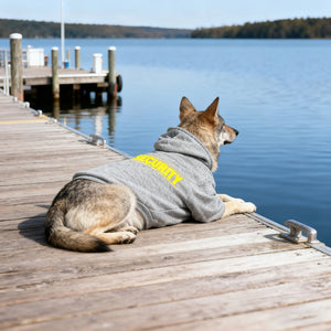 Pet Hoodie for Medium To Large Dogs | Classic Black with Yellow SECURITY Print, Fleece-Lined for Warmth and Breathability