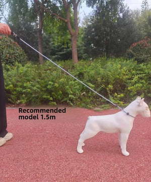 DogtractionropePropeintegratedprofessionaldogtrainingrope generalpurposeforexplosionprooftrainingof small and medium-sized dogs