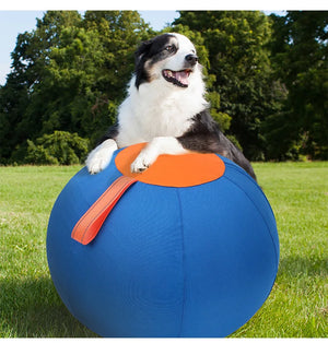 Dog Play Inflatable Big Ball Large Dog Playing Throw Interactive Training Ball Relieve Boredom Grab Fun Pet Dogs Toys Supplies