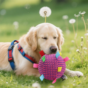 Interactive Ball Dog Toy Suitable for  Chewing Training, Stress Relief, Bite Sound Resistance, Plush tug-of-war Toy three color