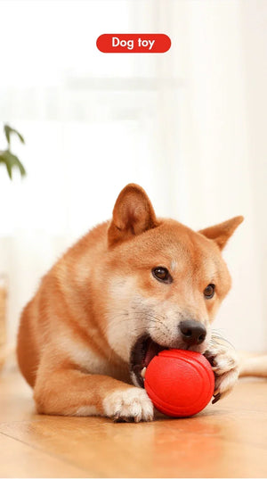 Durable Bouncy Dog Toy for Pets Chew Proof Rubber Ball S to L Size Training Interactive Chew Resistant Molar Ball