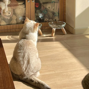 【E】Cat Bowl With Transparent Design, Elevated Cat Food Bowl Water Plate Snack Dish With Stand For Neck Protection