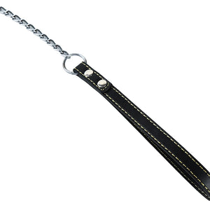 Dog Chain Durable Anti-Bite Metal Chain Small Medium Large Dog Leash Handle Convenient Practical Pet Supplies Pet Accessories