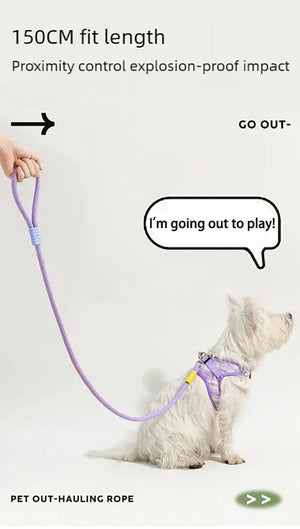 Dog leash, pet walking leash, outdoor dog dopamine contrasting leash, pet supplies