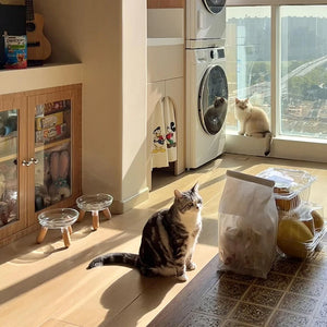 【E】Cat Bowl With Transparent Design, Elevated Cat Food Bowl Water Plate Snack Dish With Stand For Neck Protection