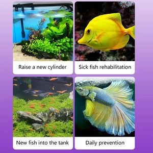Fish Medicine For Freshwater 100ml Fin Rot Treat Fish Remedy Purify Aquarium Water Safe Fish Remedy Aquarium Supplies For Algae