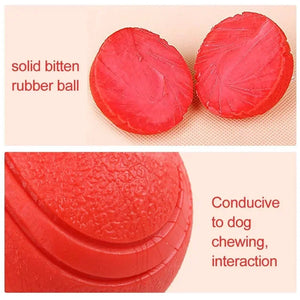 Durable Bouncy Dog Toy for Pets Chew Proof Rubber Ball S to L Size Training Interactive Chew Resistant Molar Ball