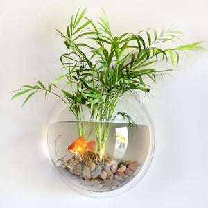 Wall Hanging Fish  Acrylic Fish Bowl Hanging Decorative Container Wall Hanging Fish