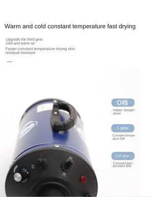 Professional Power Hair Dryer for Dogs, Negative Ion Animal Hair Dryer, Silent, High Velocity, Pet Dog, 2200W