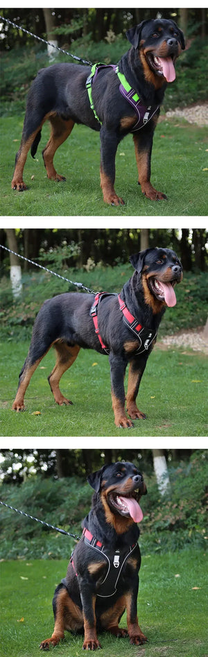 Pet Dog Harness Reflective Adjustable German Shepherd Outdoor Training Vest Wear-resistant And Explosion-proof Shock Harnesses