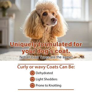 100ml Pet Shampoo for Poodles - Long-Lasting Deodorizing for Light Shedding Dogs - Perfect for Maintaining Soft Coats