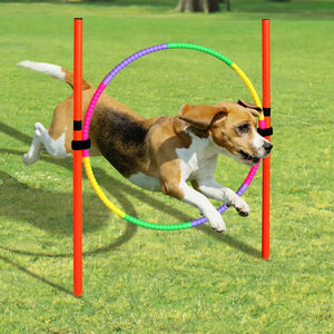 Dog Training Product Equipment Portable Dogs Jumping Tool Outdoor Dogs Running Stake Sports Stakes Pole Pet Agility Equipments