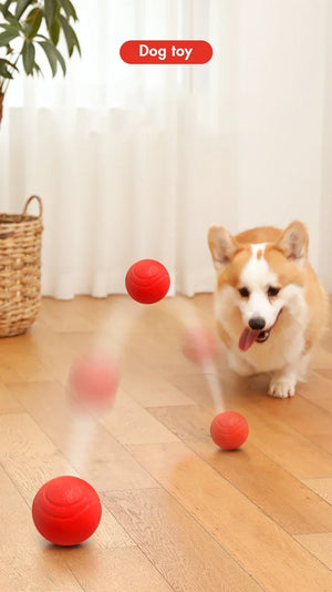 Durable Bouncy Dog Toy for Pets Chew Proof Rubber Ball S to L Size Training Interactive Chew Resistant Molar Ball